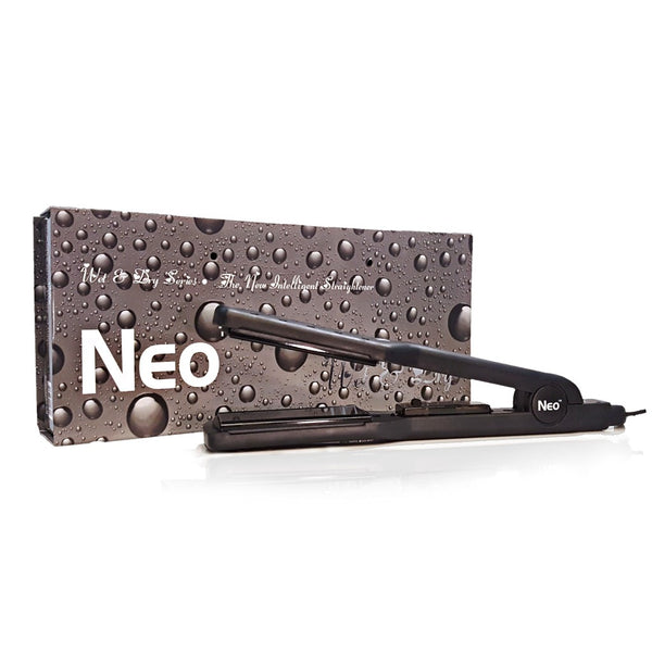 Wet & Dry Styler